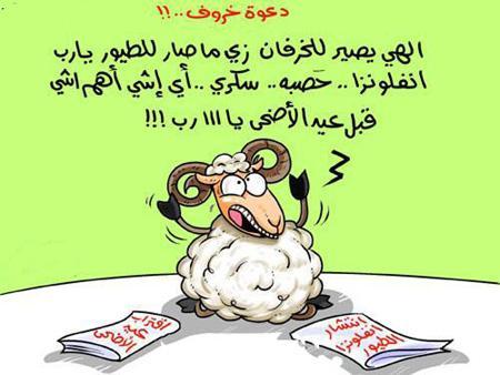 صورة